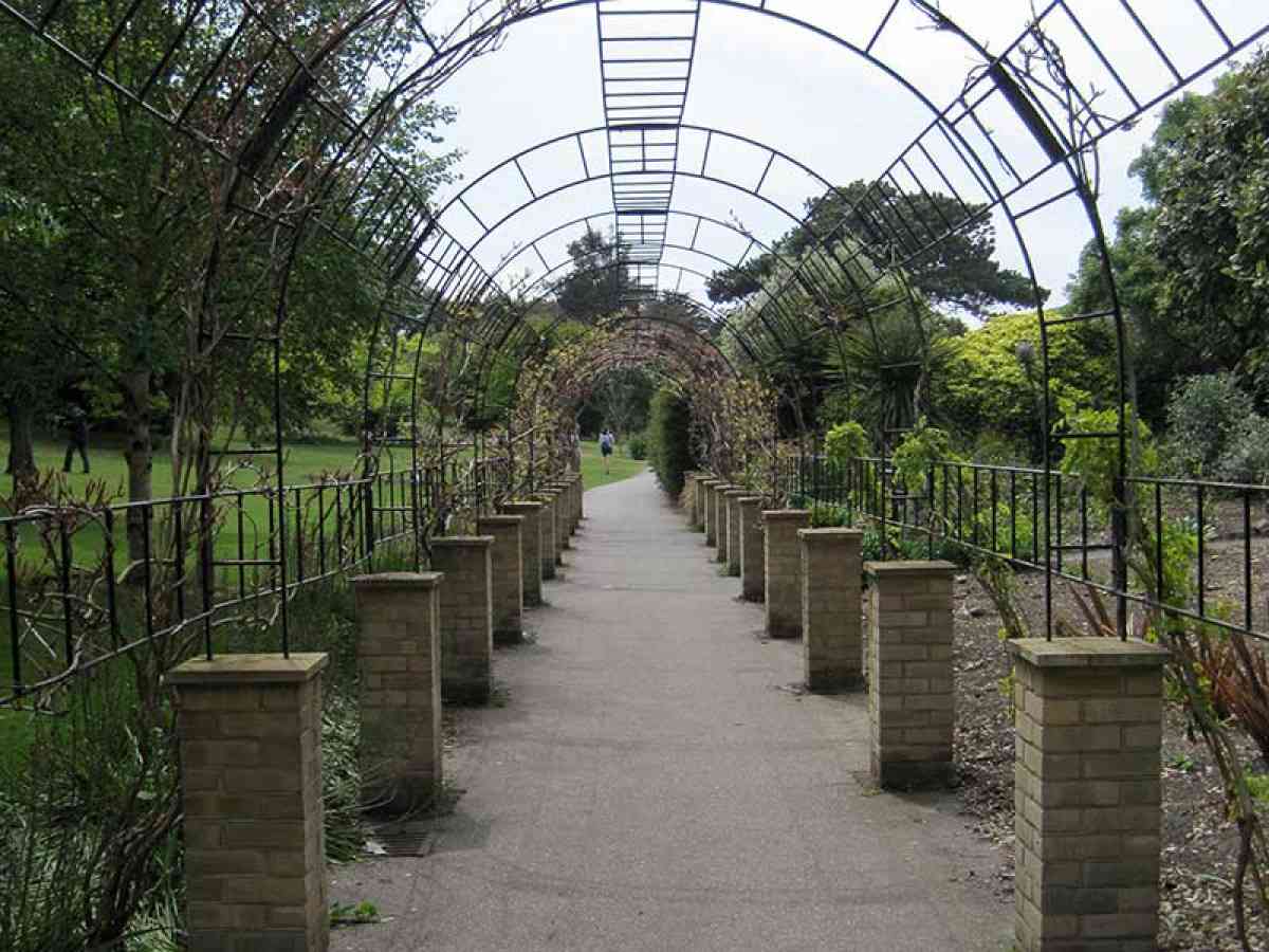 Ventnor Botanic Garden visitor image